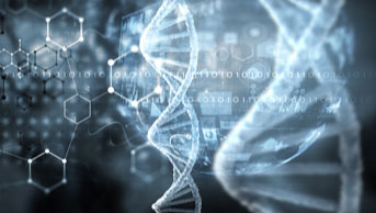 Research Seed Development Support image
